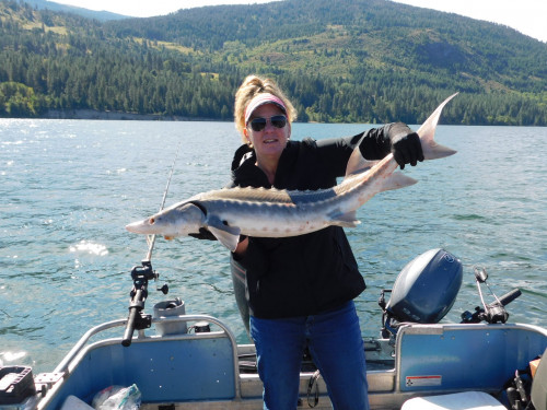 Lake Roosevelt Sturgeon  Fishing July 21, 2019
