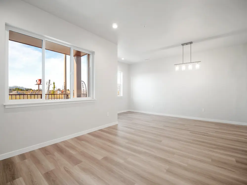Dining / living room