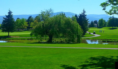 Stewart Meadows Golf Course