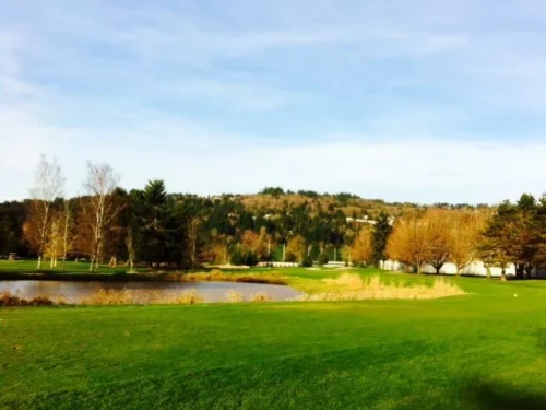 Mint Valley Golf Course