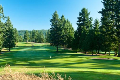 Gold Mountain Golf Club - Cascade Course