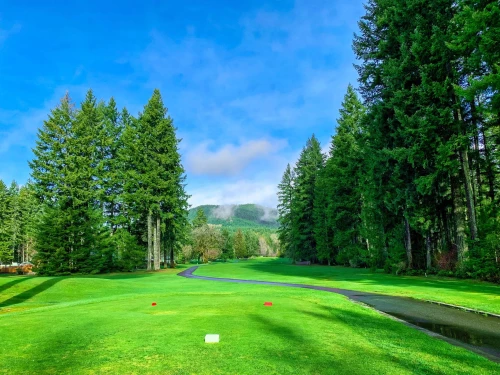 Lake Cushman Golf Course