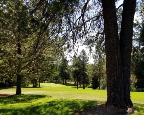 Timberline Golf Course