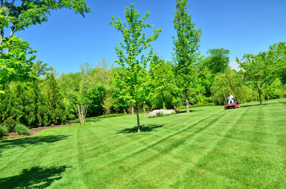 Lawn Mowing, Trimming, and edging