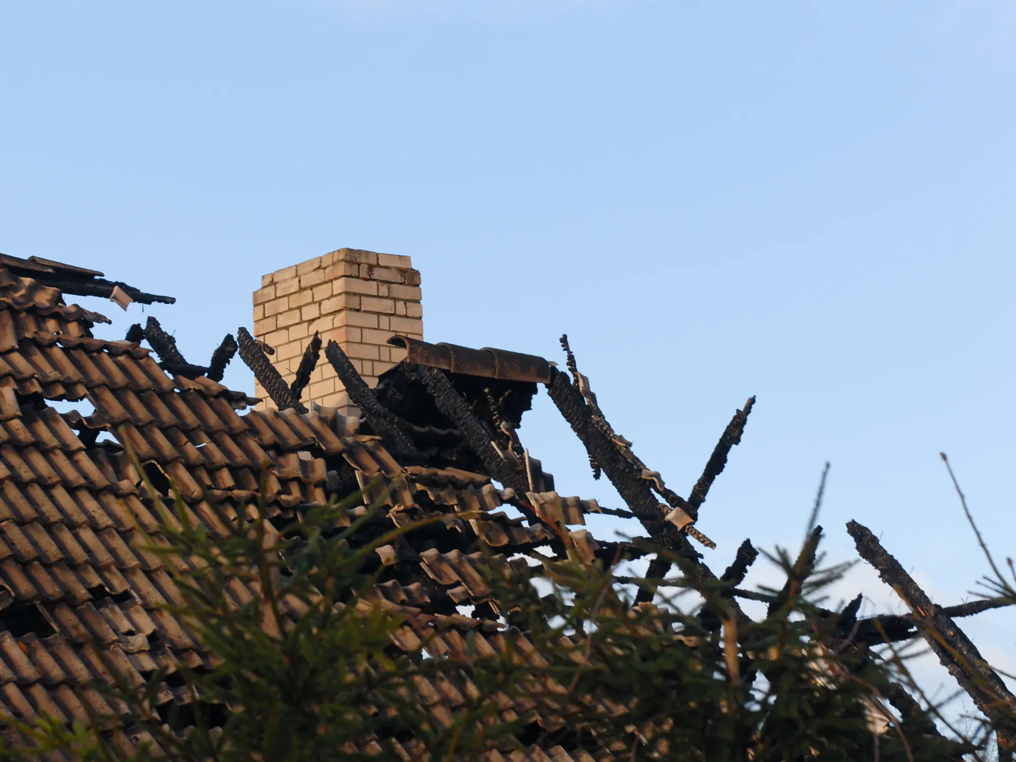 Fire Restoration