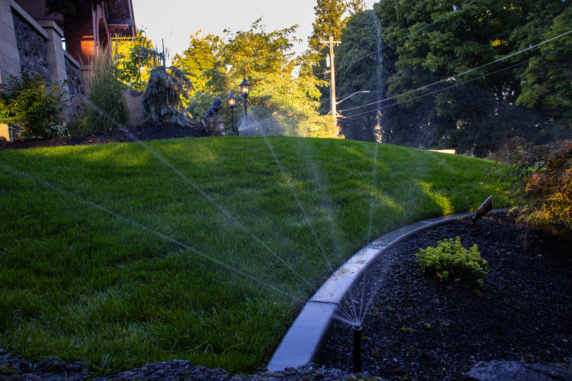 3 Essential Irrigation Tips for Lush Lawn in Summer Heat