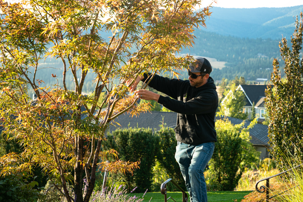 tree pruning in Spokane and Coeur d'Alene