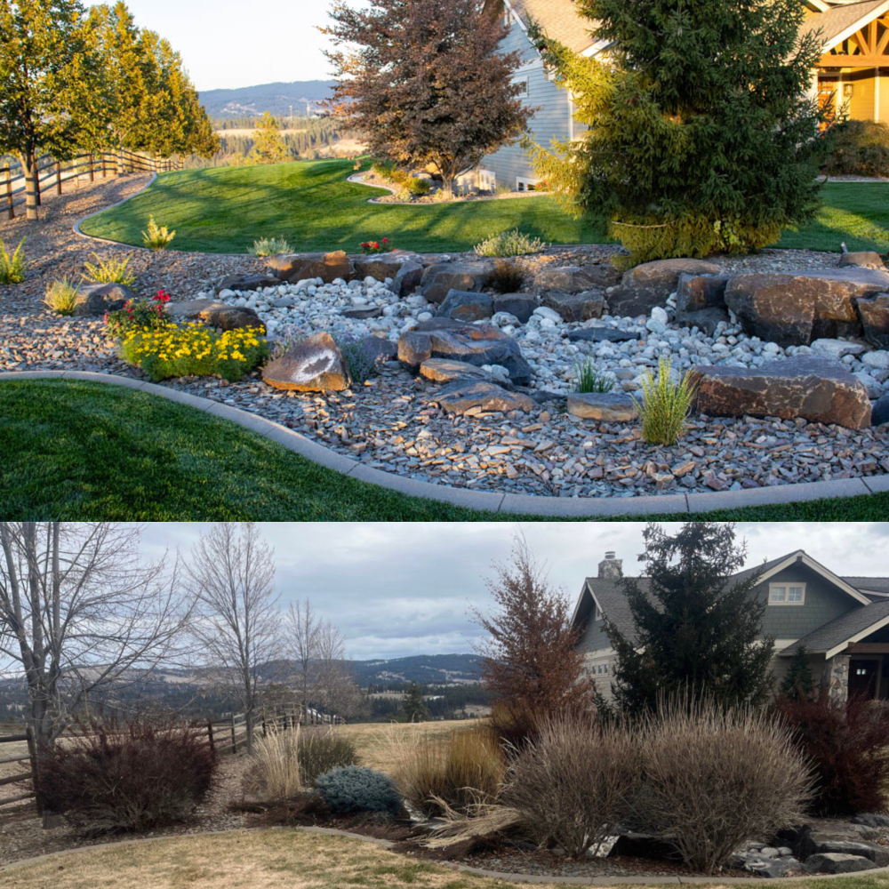 before and after picture of outdoor landscape renovation