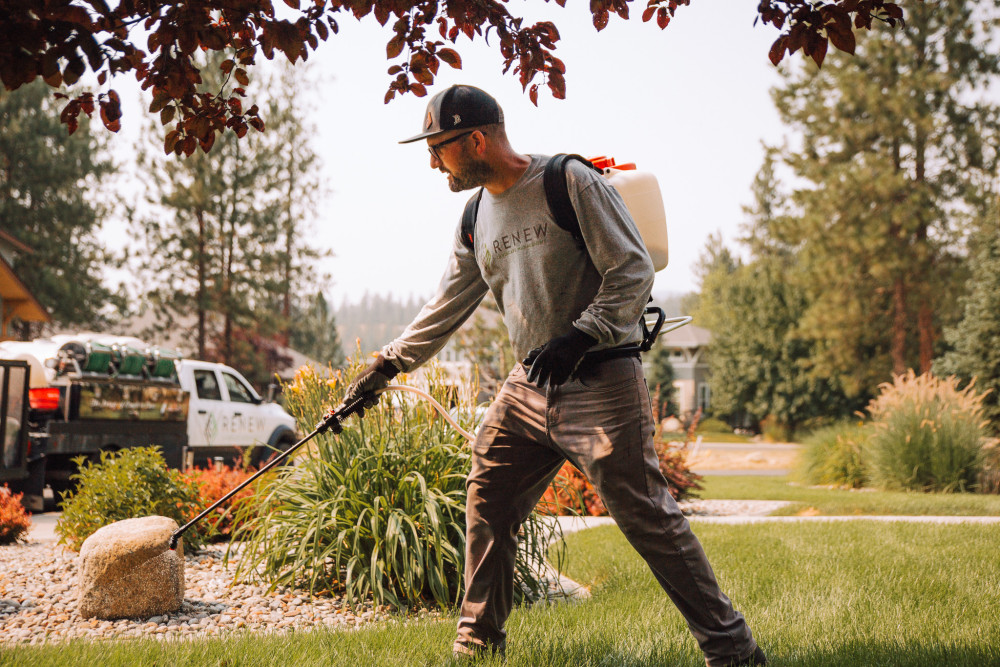 mosquito lawn treatment spraying