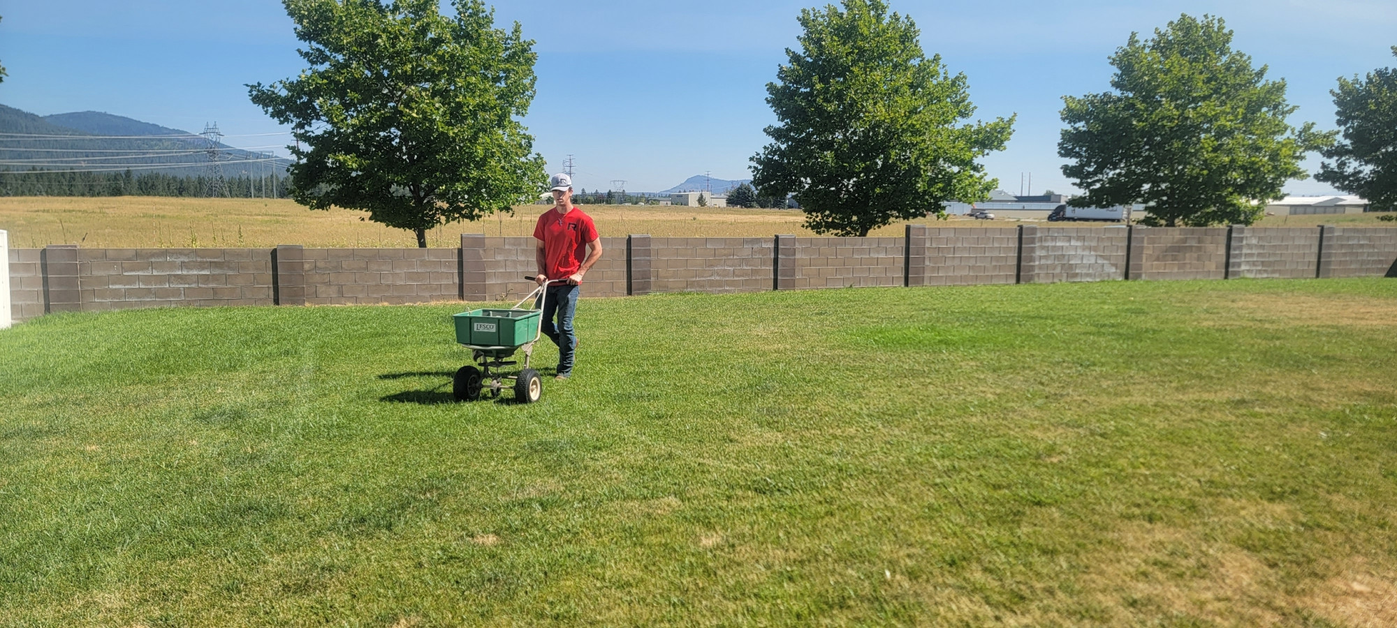 Fertilizing