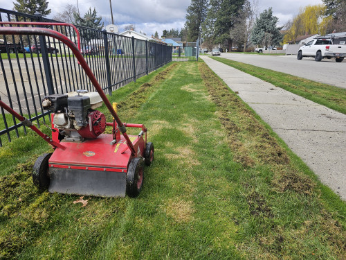 Dethatching