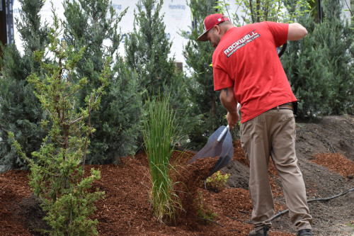 Mulch Installation