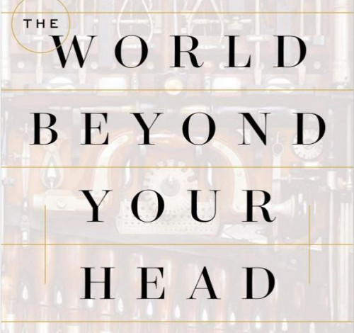 The World Beyond Your Head