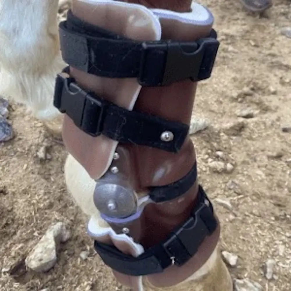 Fetlock Brace