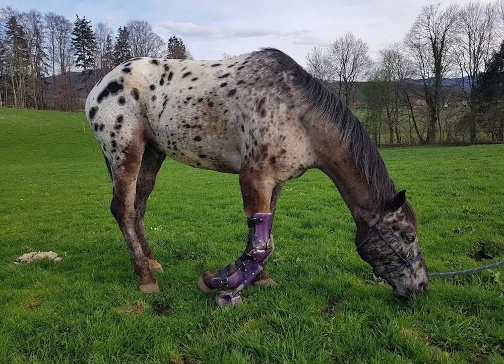 Hybrid Orthotic Prosthetic