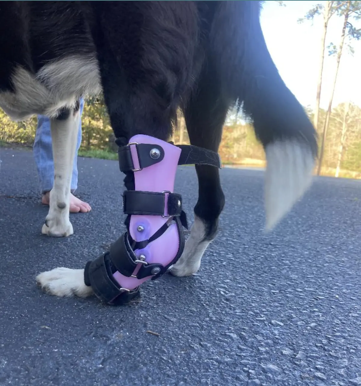 Tarsal Brace