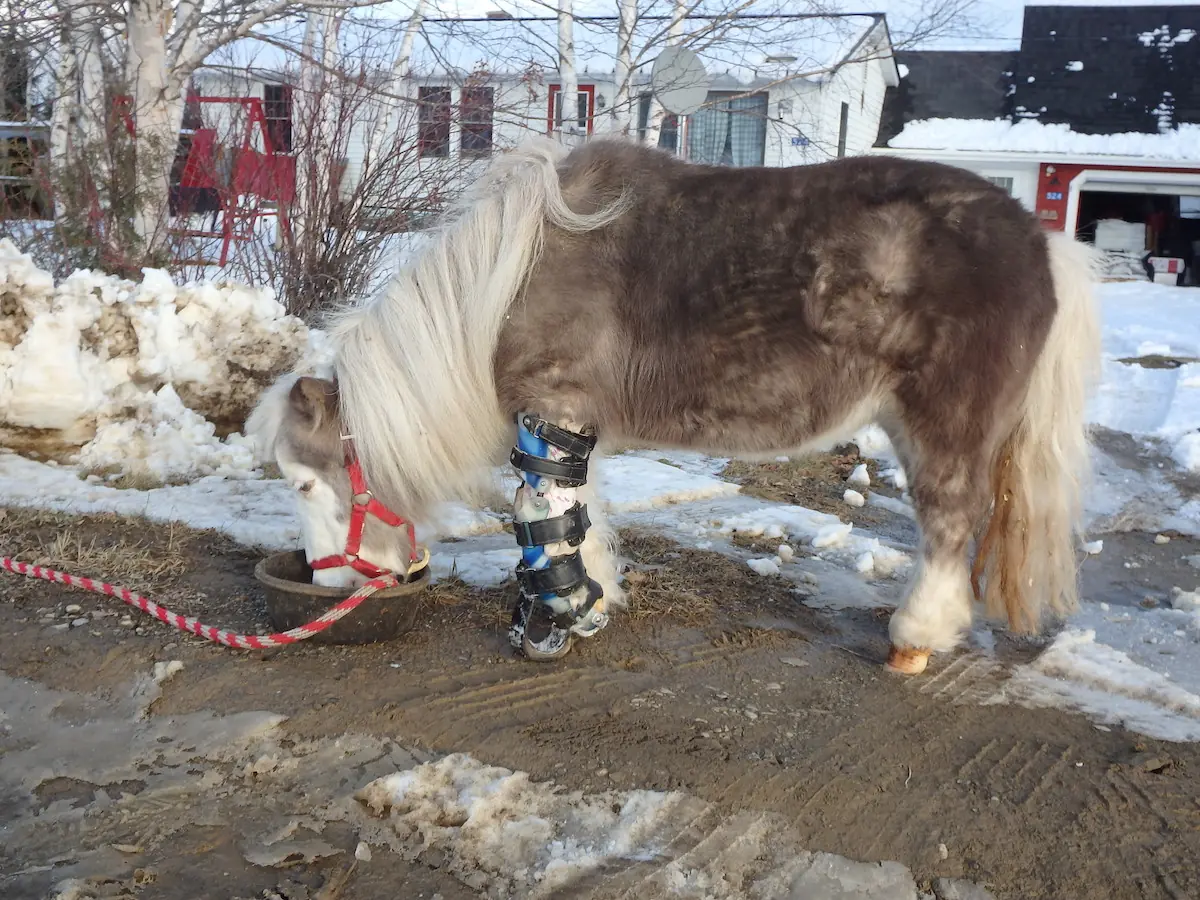 Hybrid Prosthetic Device