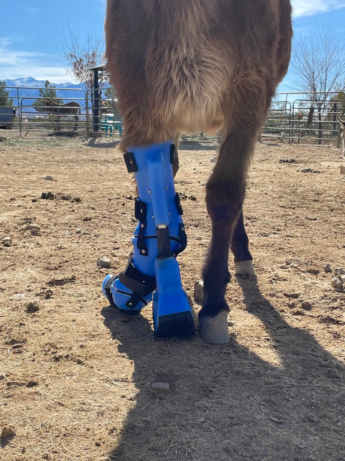 Hybrid Prosthetic