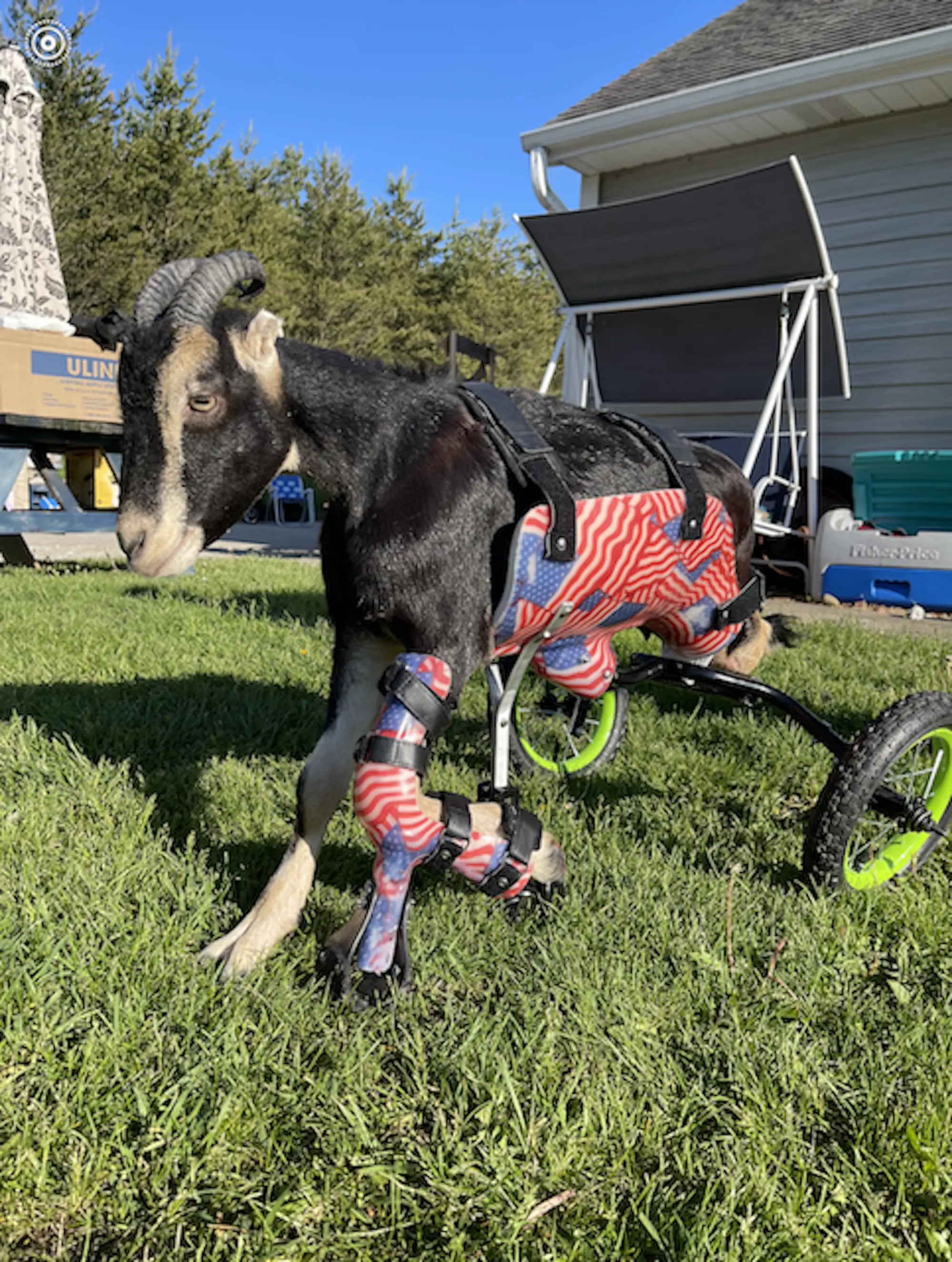 Wheelchair Prosthetic