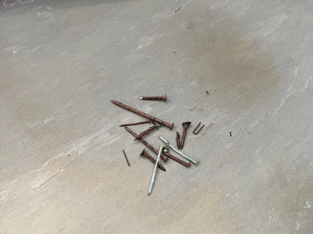 What's hiding in your turf?