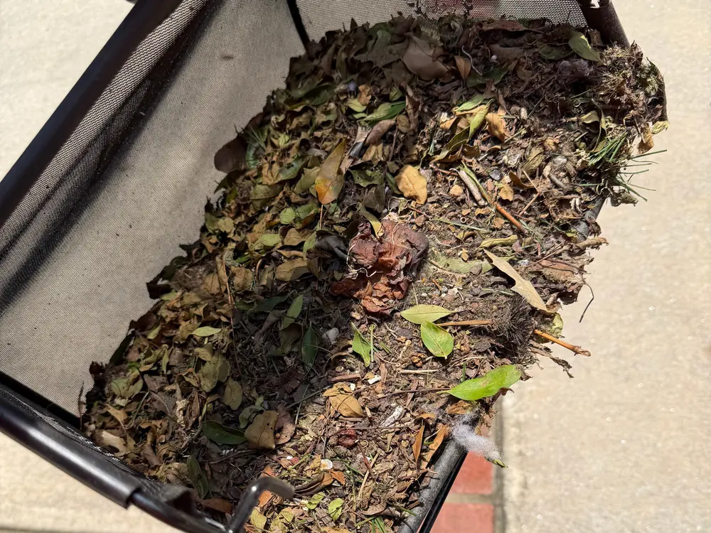 Grim, dirt, debris holding odor and blocking drainage.