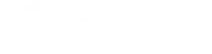 Dss logo