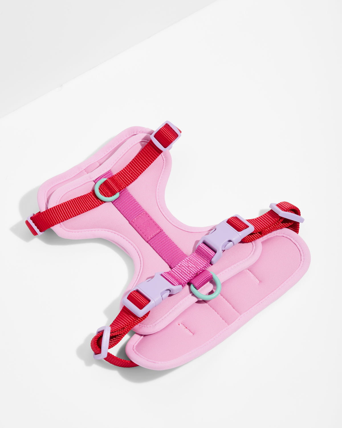 Wildone product imagery