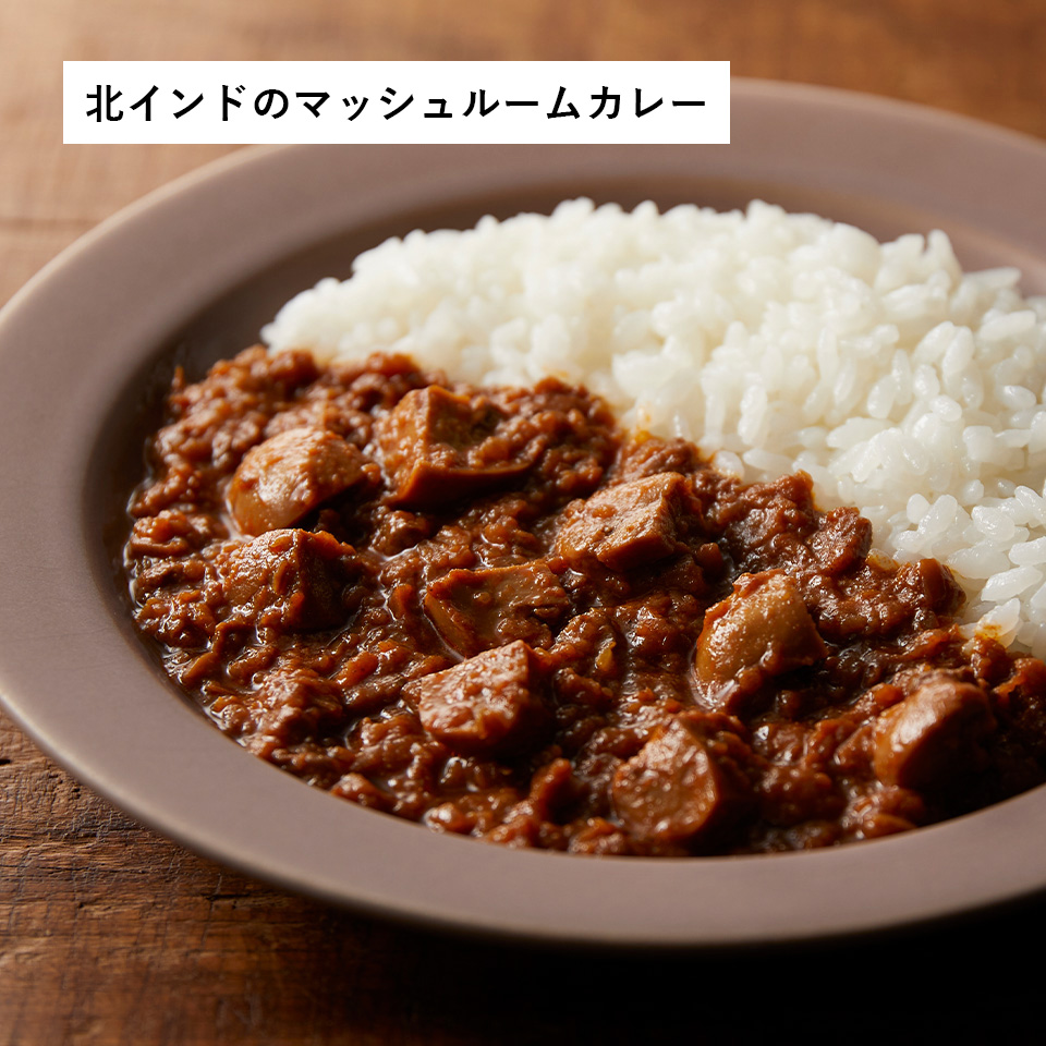 【限定トートバッグ付き】インドカレー9種セット