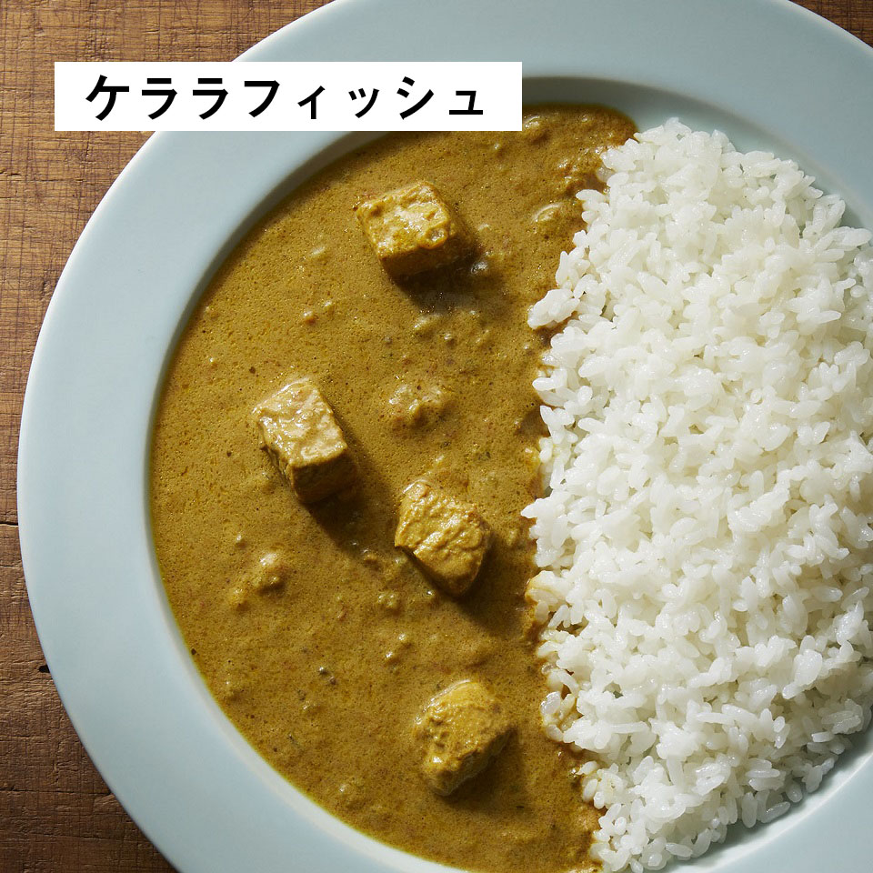 インドカレーセット(3個入)