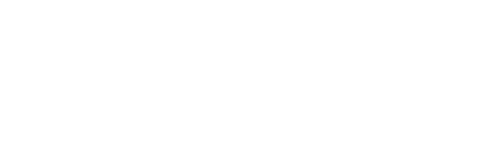 Логотип belpgs