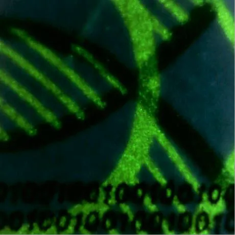 Лупа цифровая ED.201