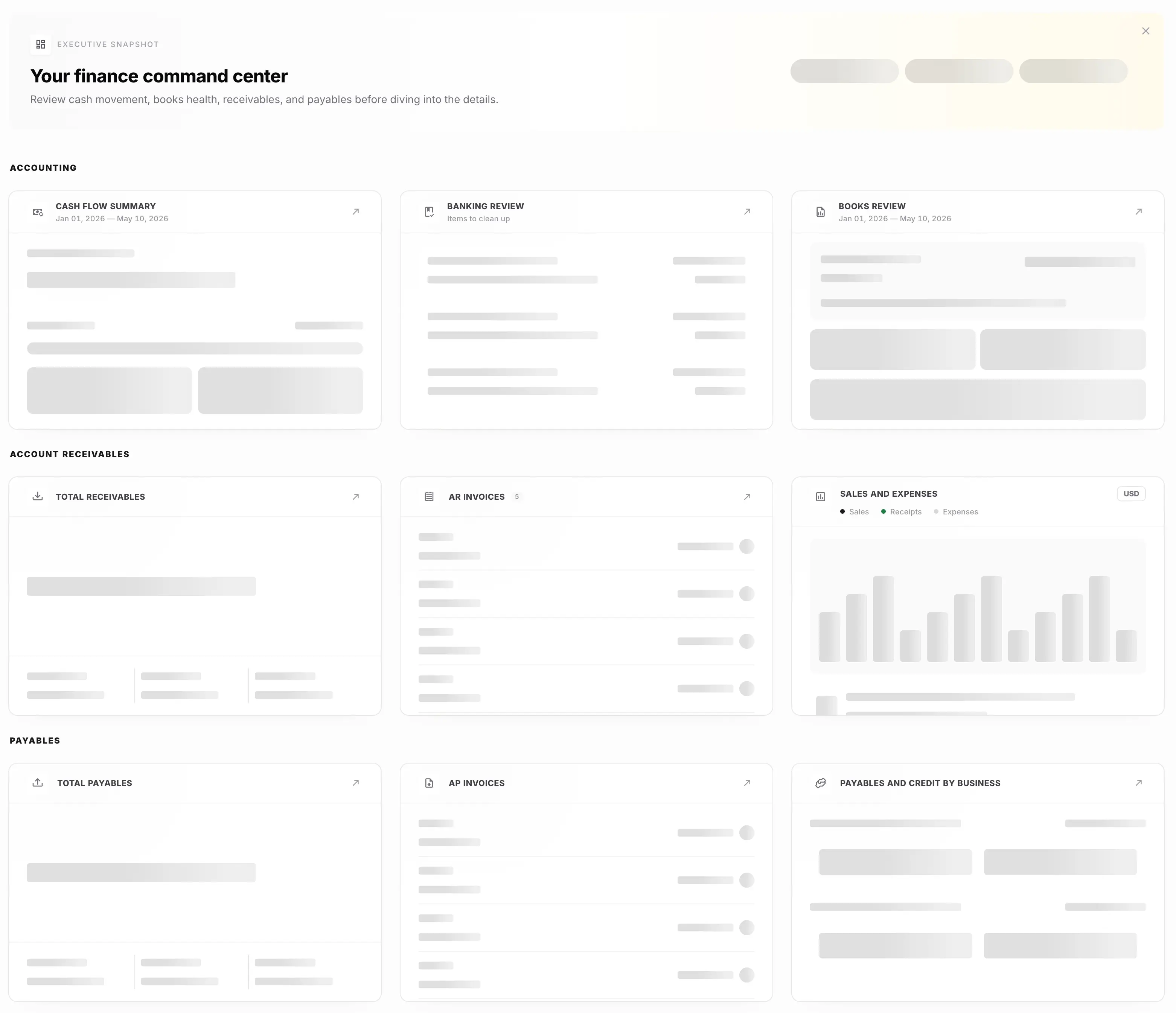 White-label accounting dashboard preview