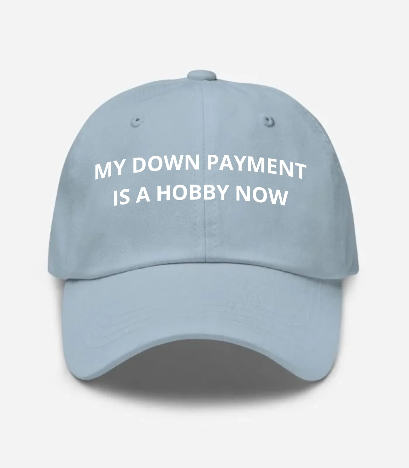 My Down Payment Is A Hobby Now Hat - Light Blue