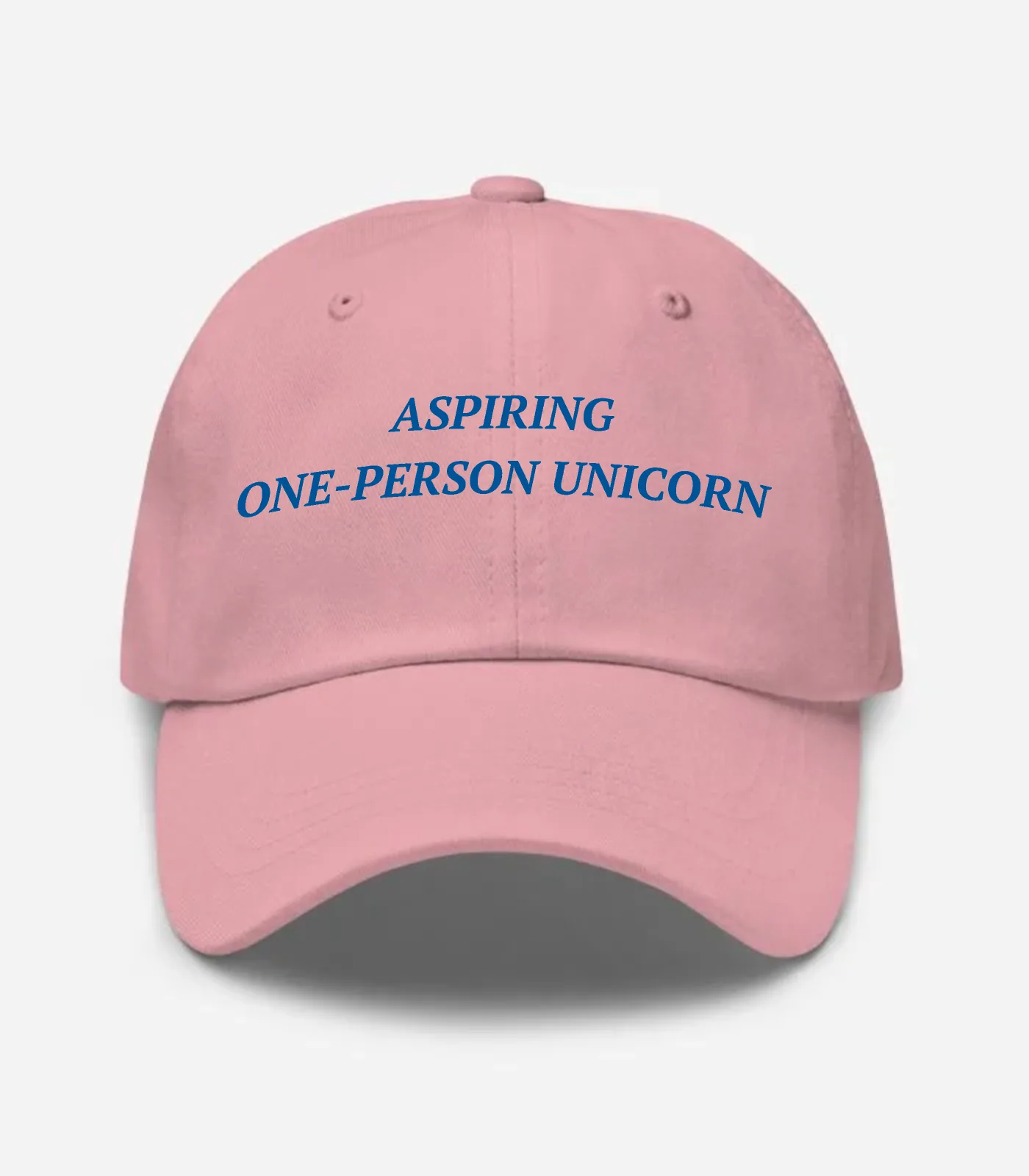 Aspiring One-person Unicorn Hat - Pink