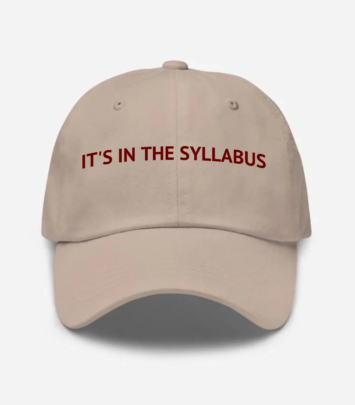 It's In The Syllabus Hat - Stone
