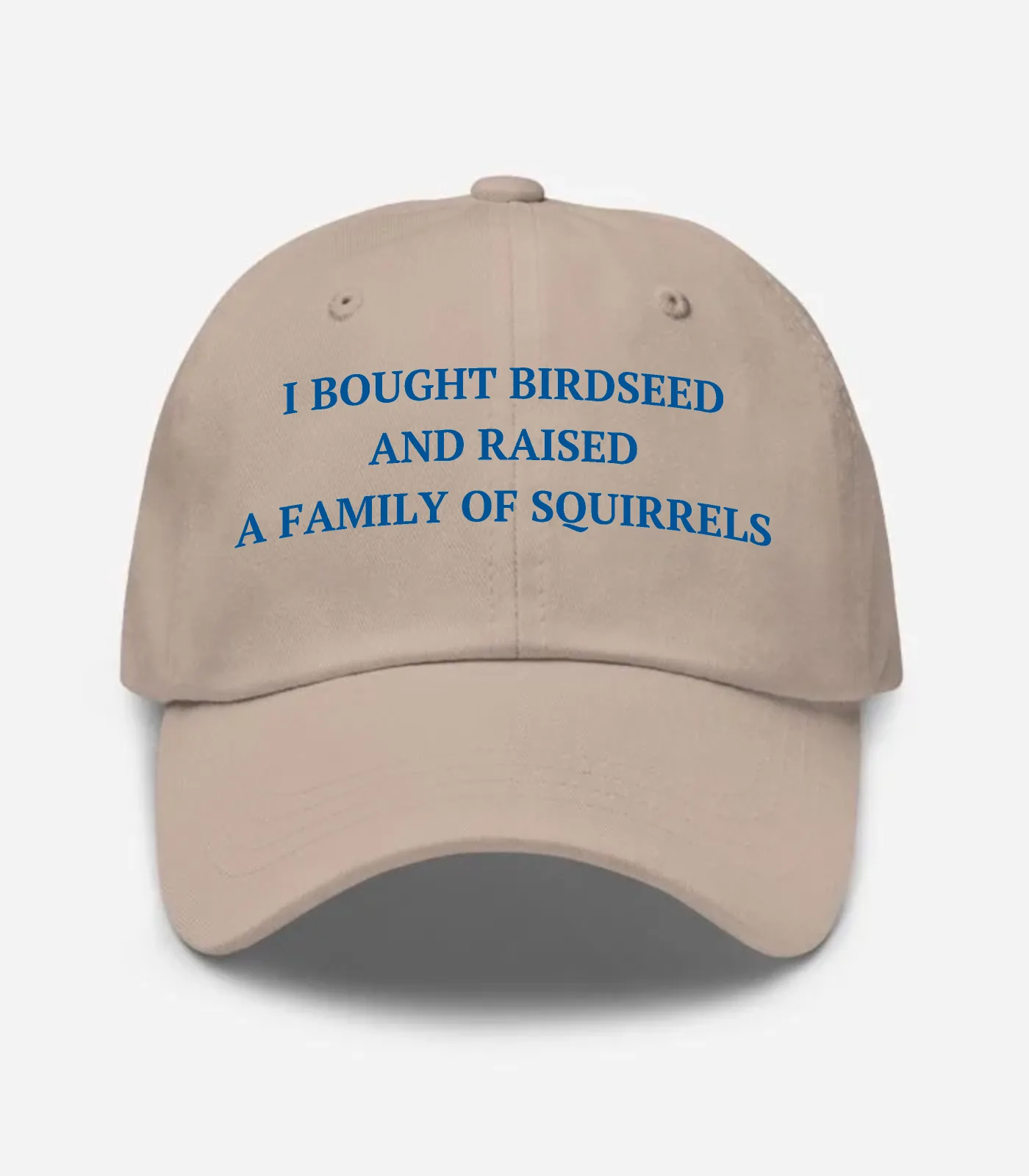 I Bought Birdseed And Raised A Family Of Squirrels Hat - Stone