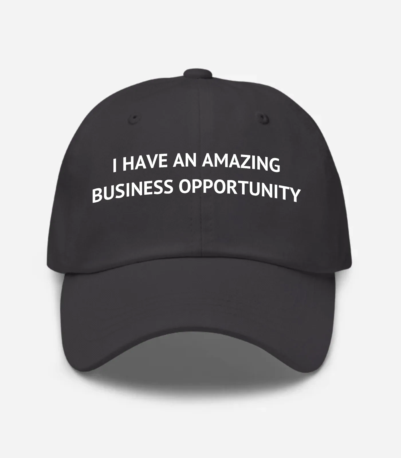 I Have An Amazing Business Opportunity Hat - Dark Grey