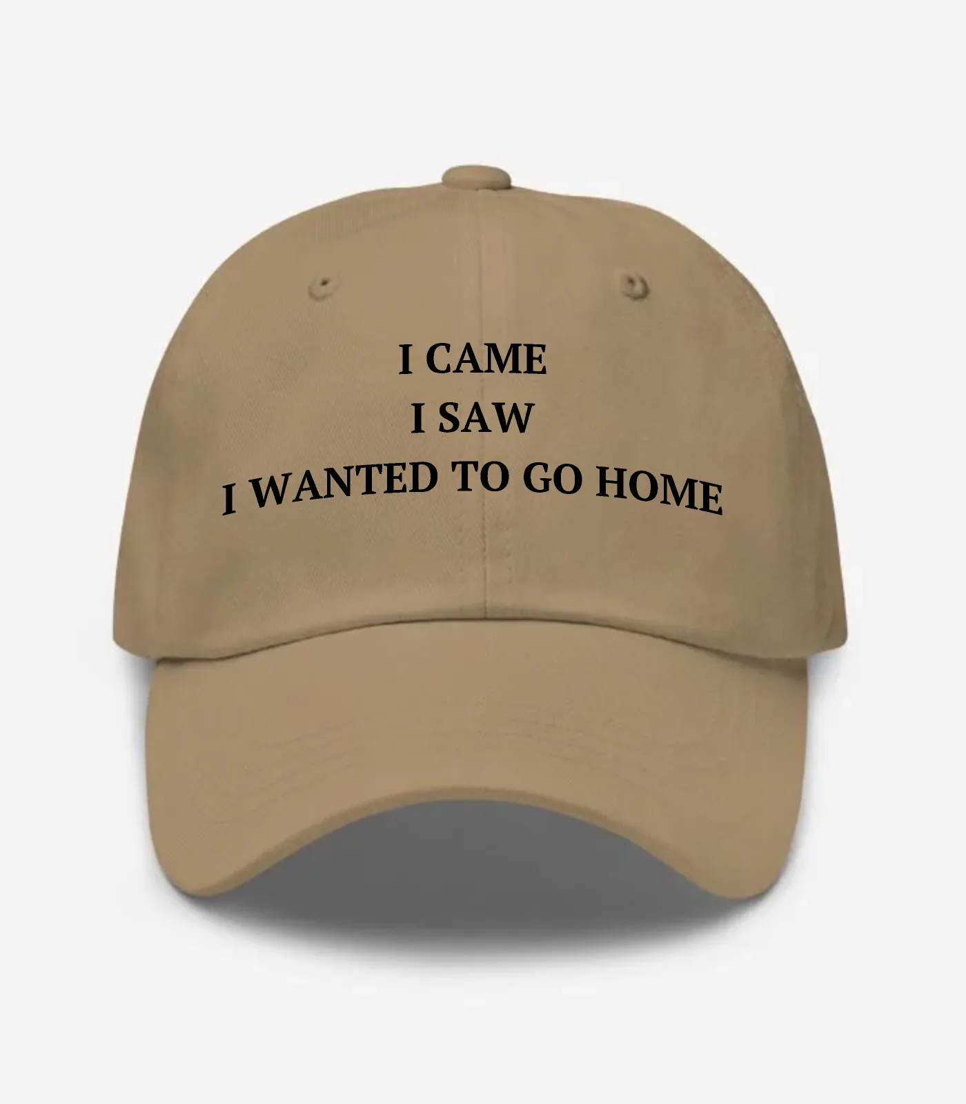 I Came I Saw I Wanted To Go Home Hat
