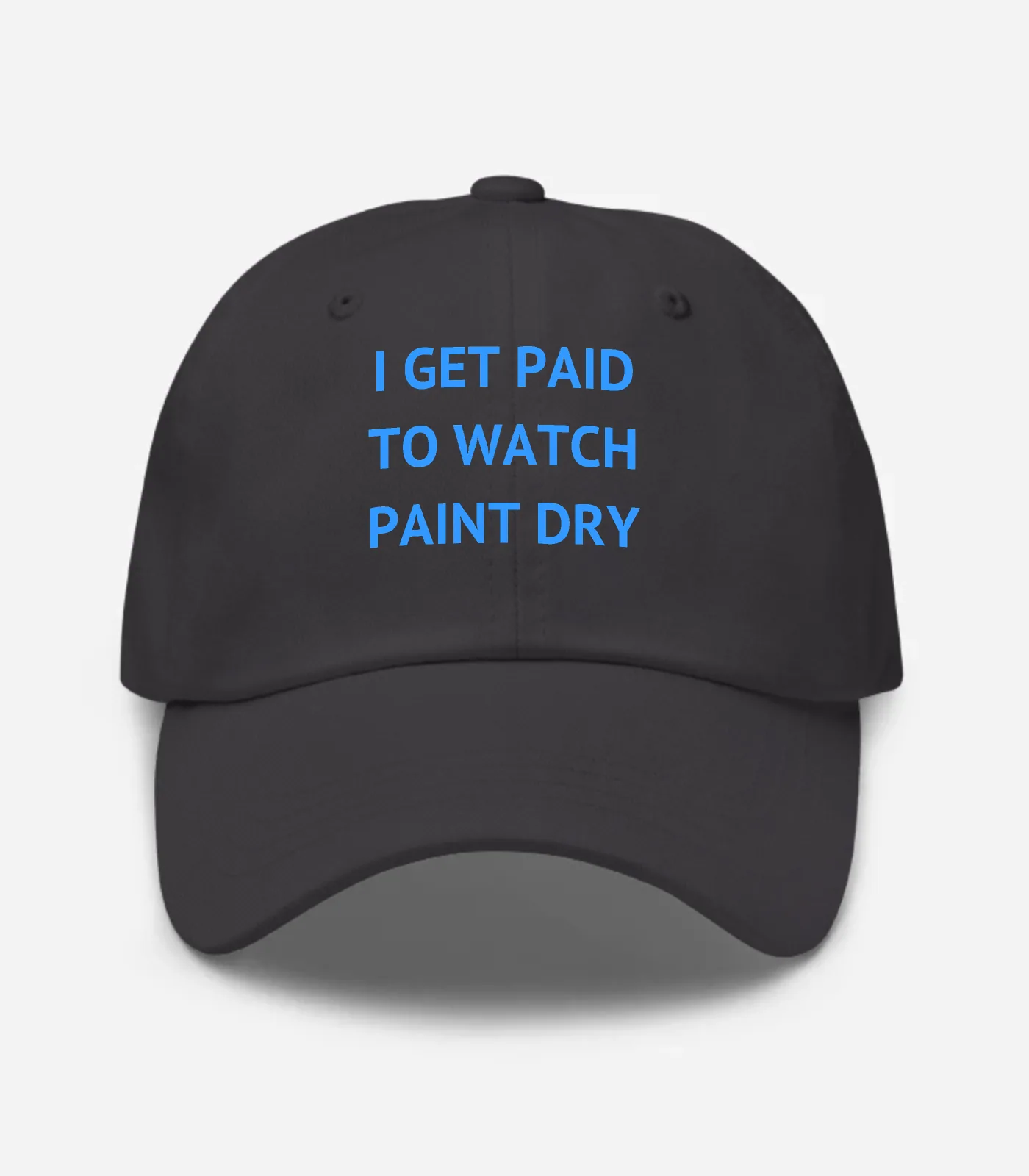 I Get Paid To Watch Paint Dry Hat - Dark Grey