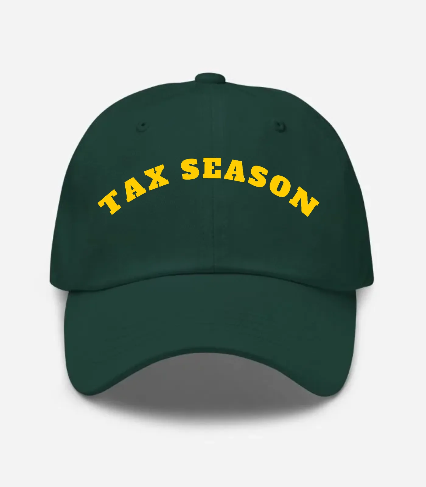 Tax Season Arched Hat - Spruce