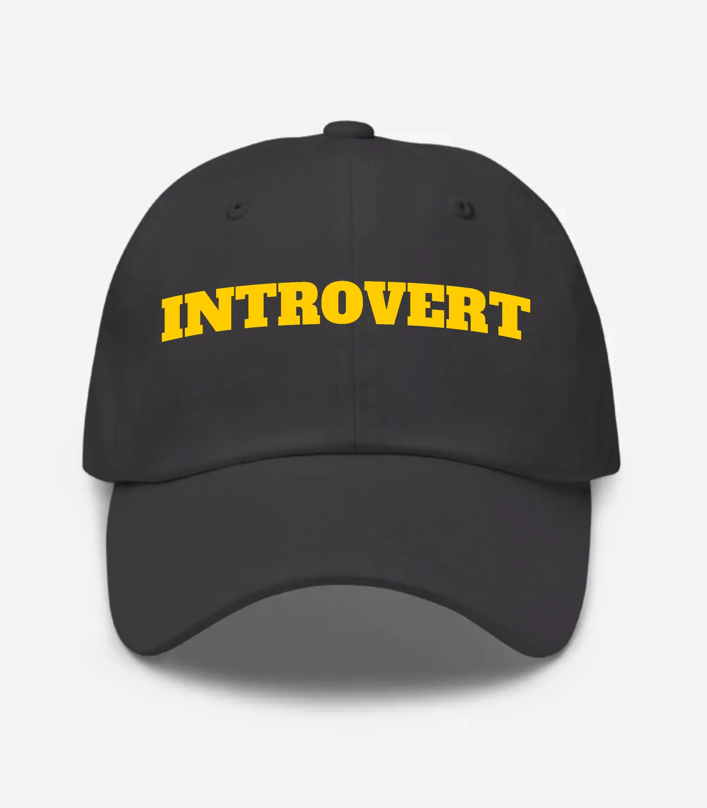 Introvert Hat