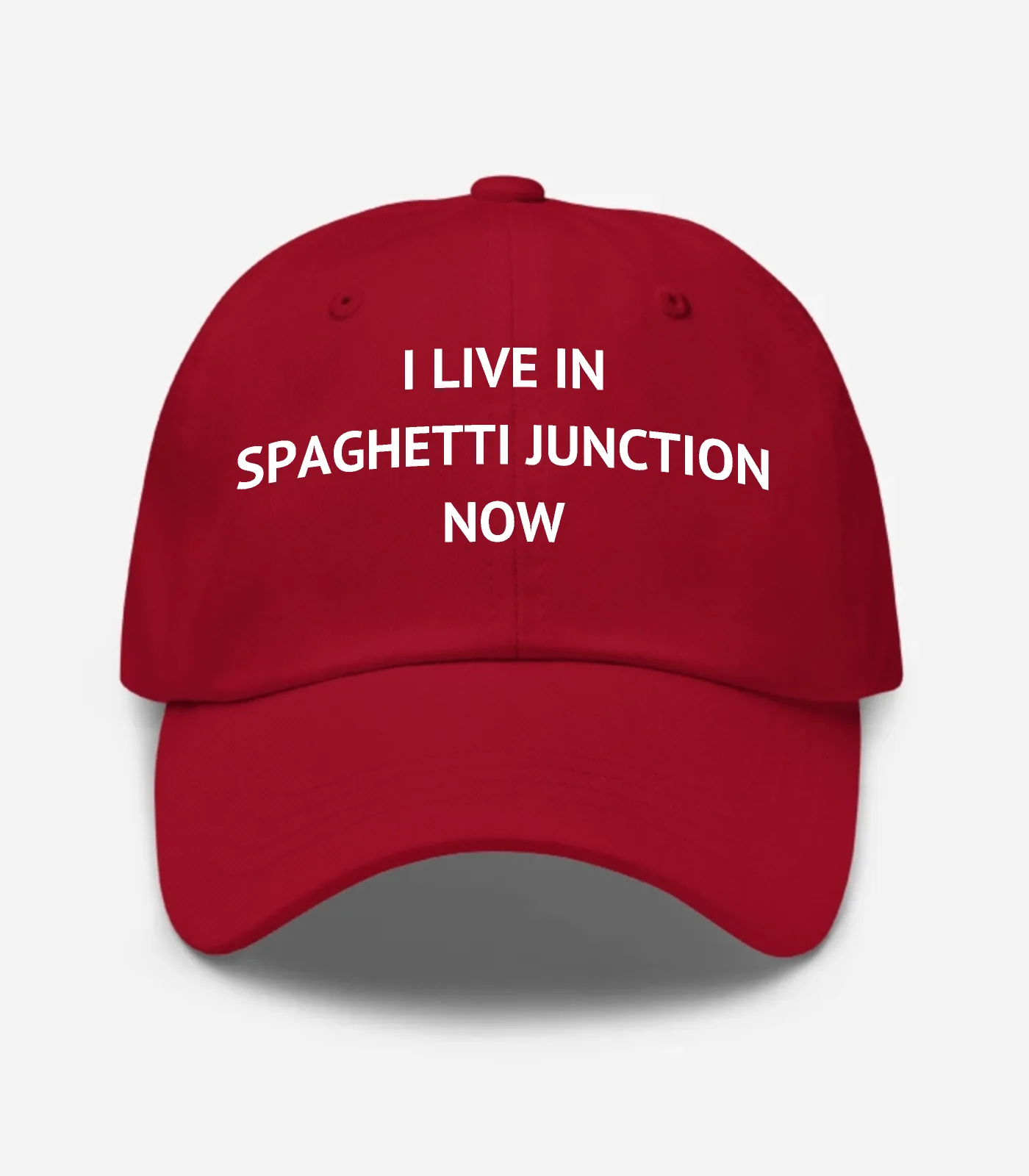I Live In Spaghetti Junction Now Hat