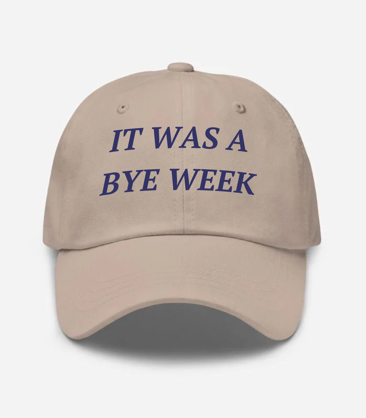 It Was A Bye Week Hat - Stone