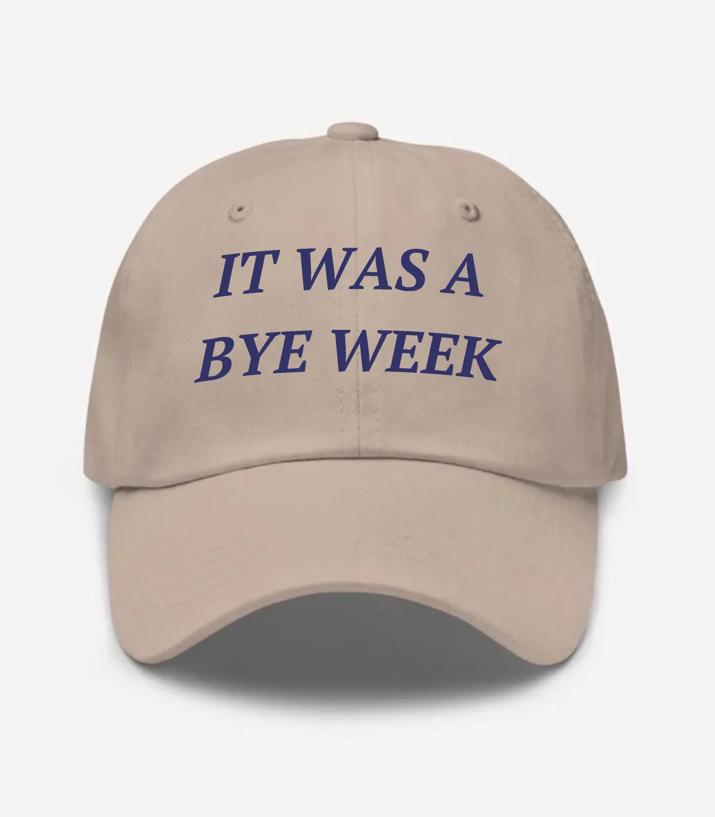 It Was A Bye Week Hat - Stone