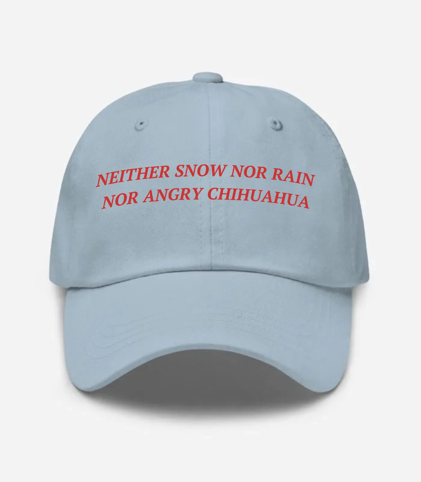 Neither Snow Nor Rain Nor Angry Chihuahua Hat