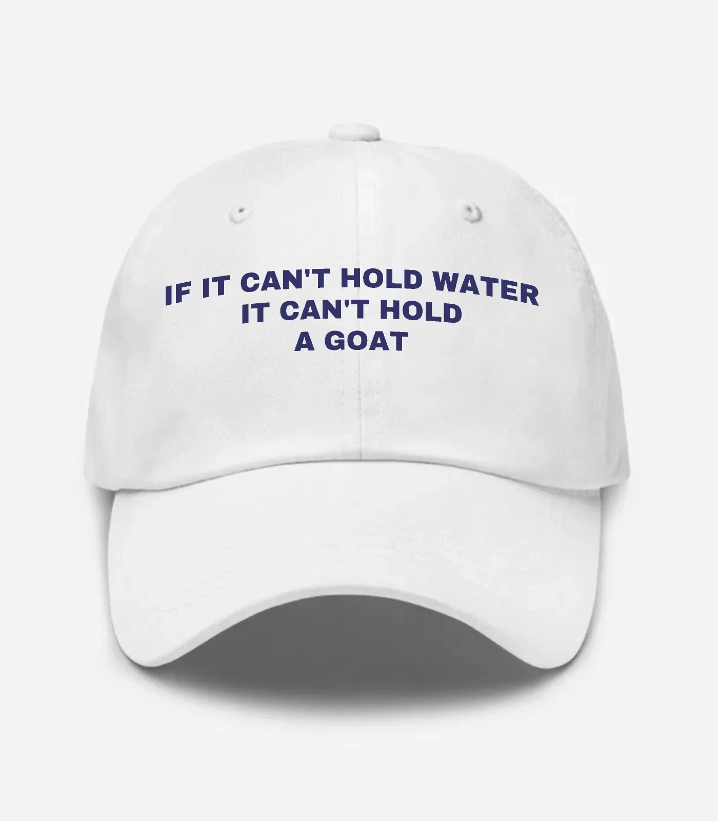 If It Can't Hold Water It Can't Hold A Goat Hat