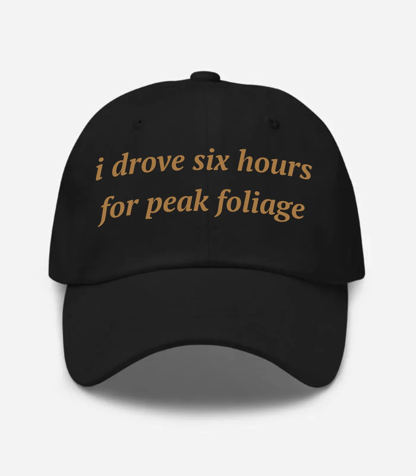 I Drove Six Hours For Peak ... Hat - Black