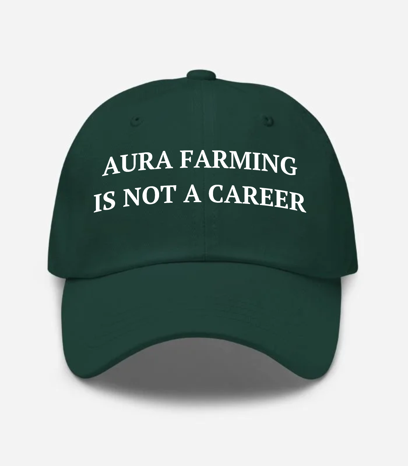 Aura Farming Is Not A Career Hat - Spruce