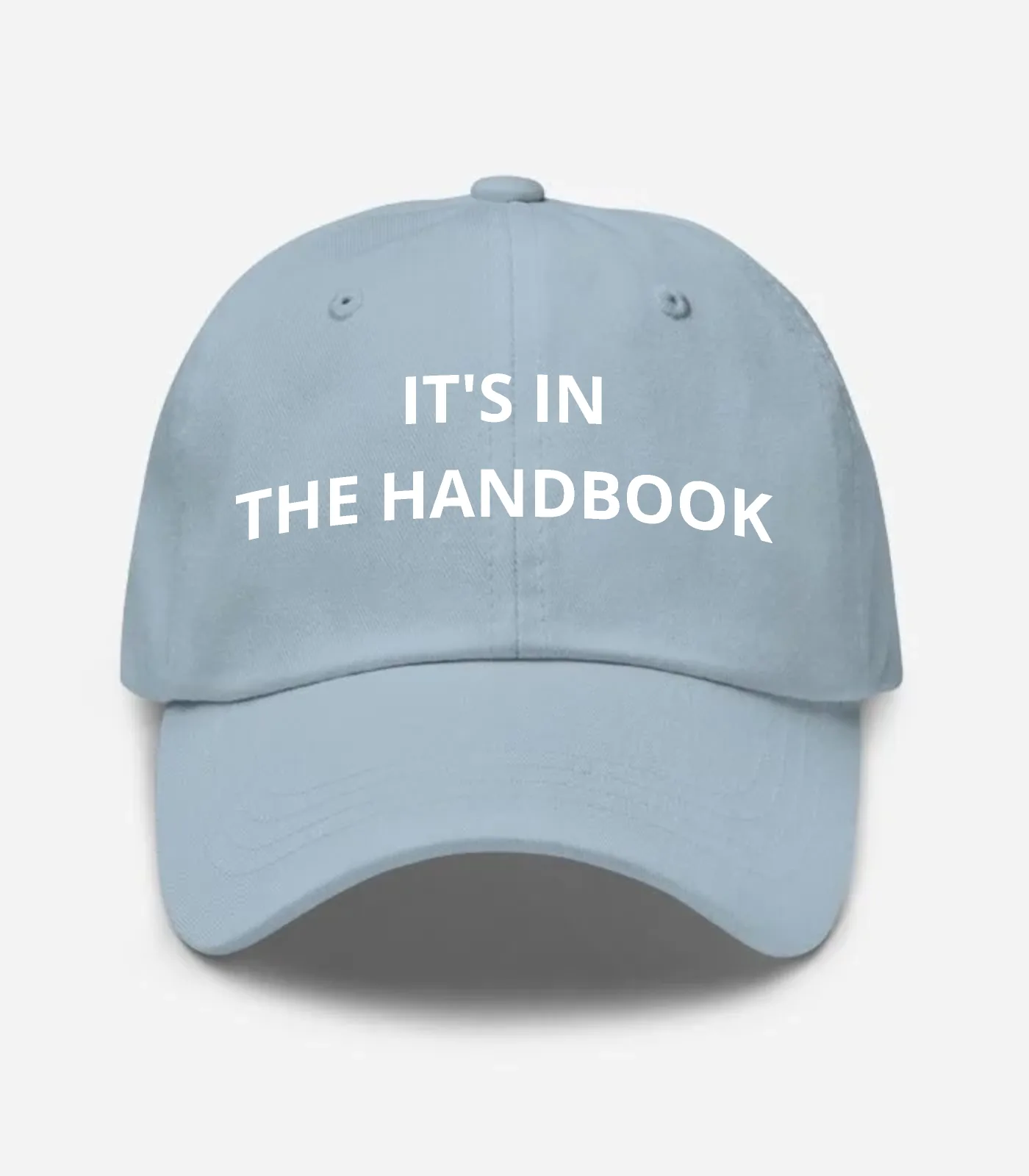 It's In The Handbook Hat - Light Blue