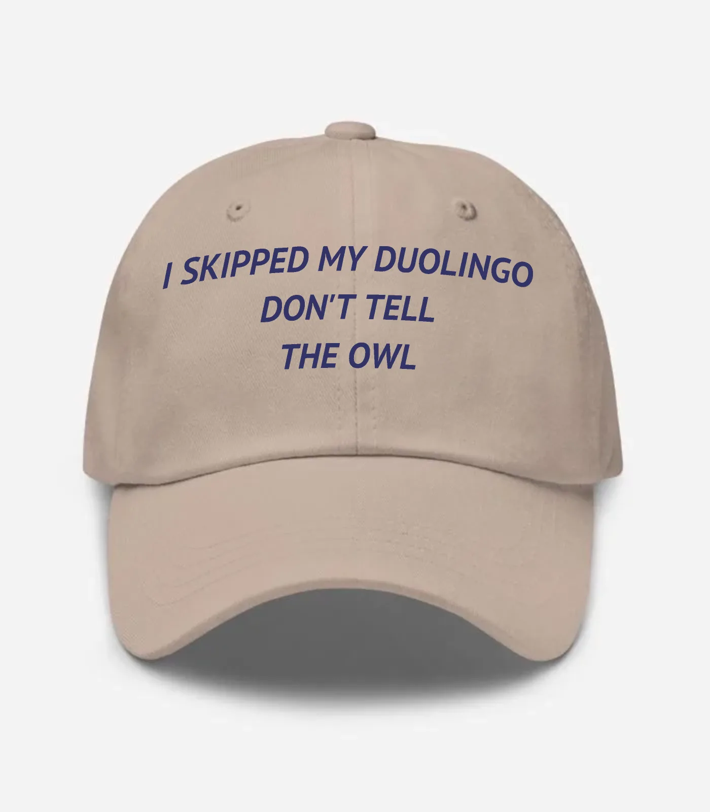 I Skipped My Duolingo Don't Tell The Owl Hat - Stone